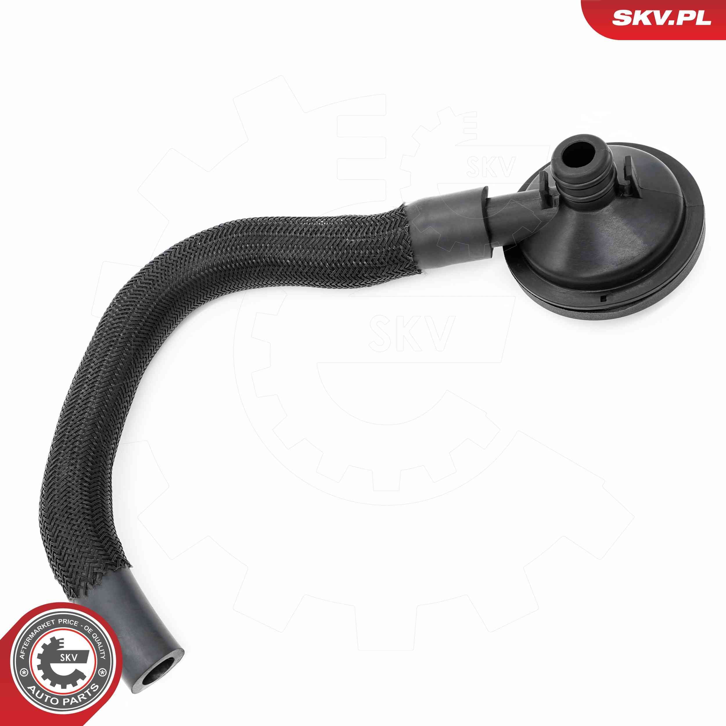 Vožtuvas, variklio bloko alsuoklis ESEN SKV 31SKV420