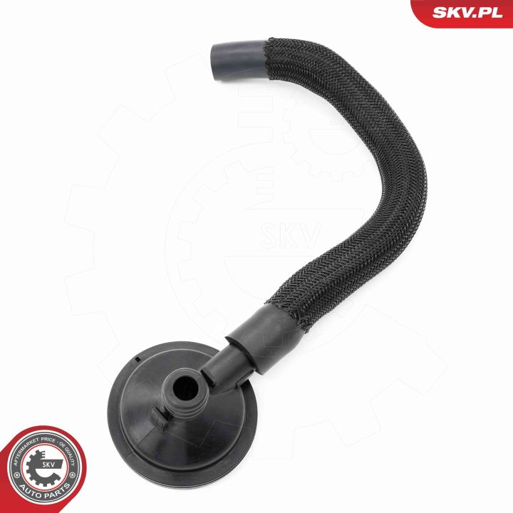 Vožtuvas, variklio bloko alsuoklis ESEN SKV 31SKV420