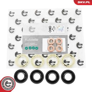 Tarpiklių rinkinys, purkštuko antgalis ESEN SKV 53SKV189