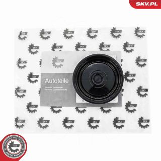 Membrana, karterio alsuoklis ESEN SKV 31SKV191