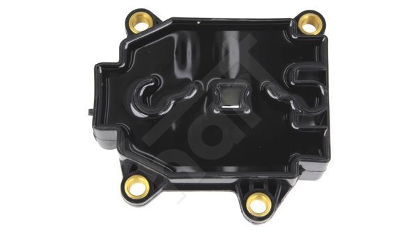 Ritė, uždegimas HART 564 571