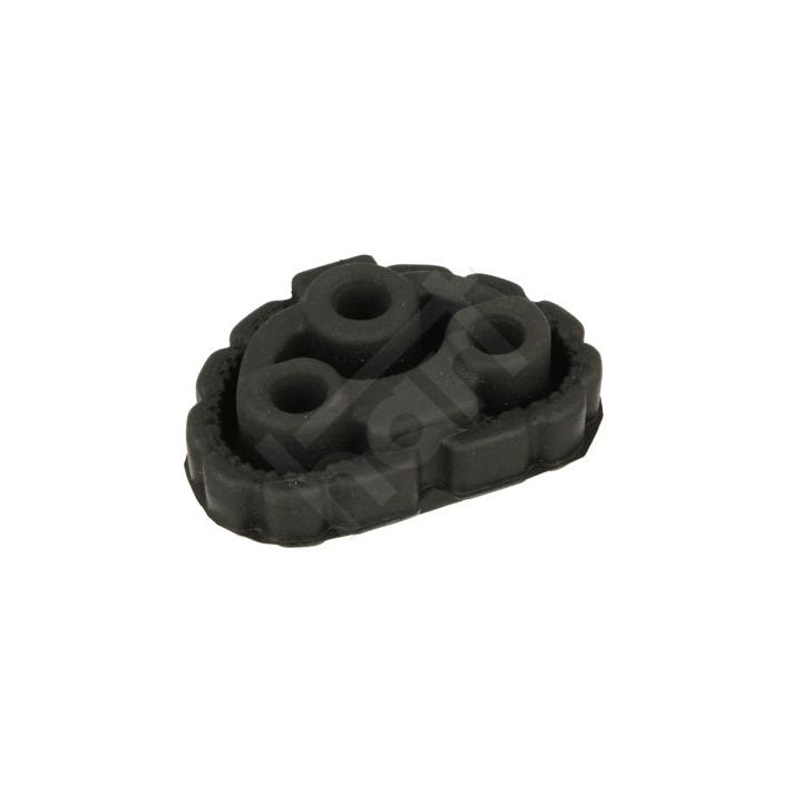 Laikiklis, išmetimo sistema HART 442 654