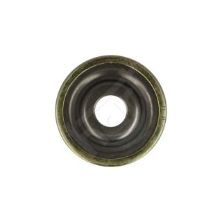 Frikcinis guolis, pakabos statramsčio atramos montavimas HART 429 755