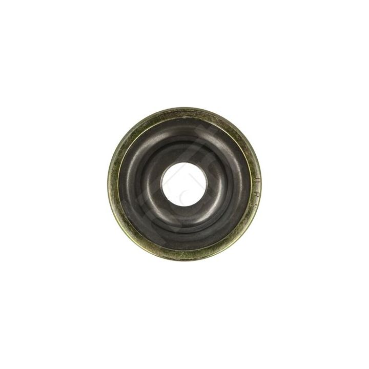 Frikcinis guolis, pakabos statramsčio atramos montavimas HART 429 755