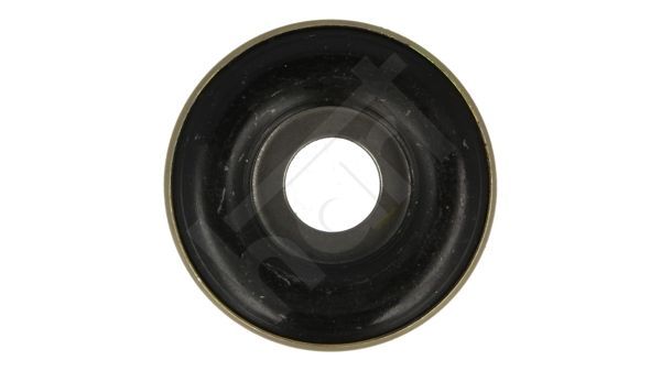 Frikcinis guolis, pakabos statramsčio atramos montavimas HART 429 755