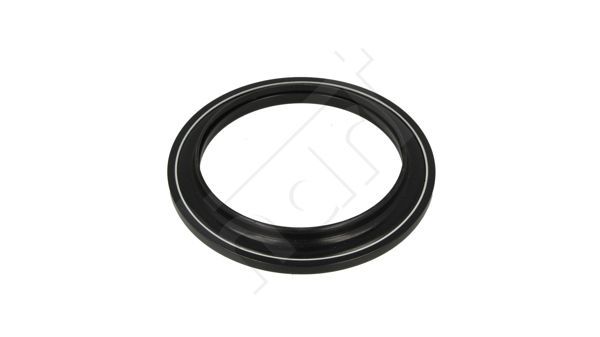 Frikcinis guolis, pakabos statramsčio atramos montavimas HART 443 329