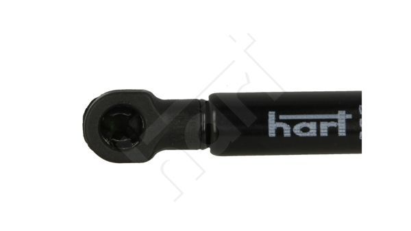 Dujinė spyruoklė, galinis langas HART 811 229