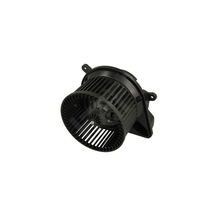 Vidaus pūtiklis HART 537 940