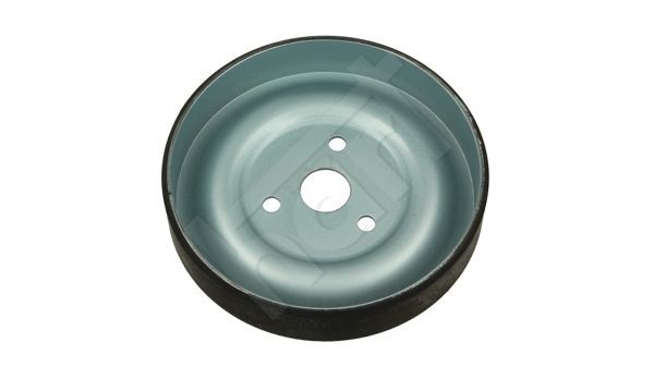 Skriemulys, vandens siurblys HART 173 970