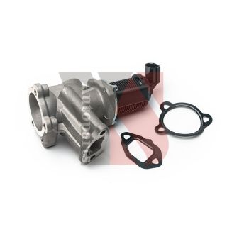 ERG vožtuvas YSPARTS EGRA021