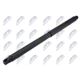 Dujinė spyruoklė, bagažinė NTY AE-CH-060