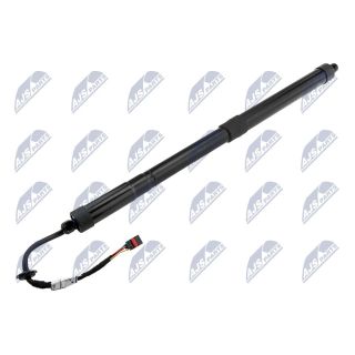 Dujinė spyruoklė, bagažinė NTY AE-HY-049