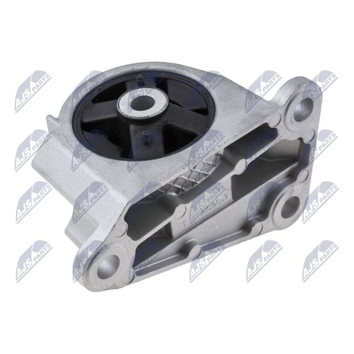 Variklio montavimas NTY ZPS-BM-032