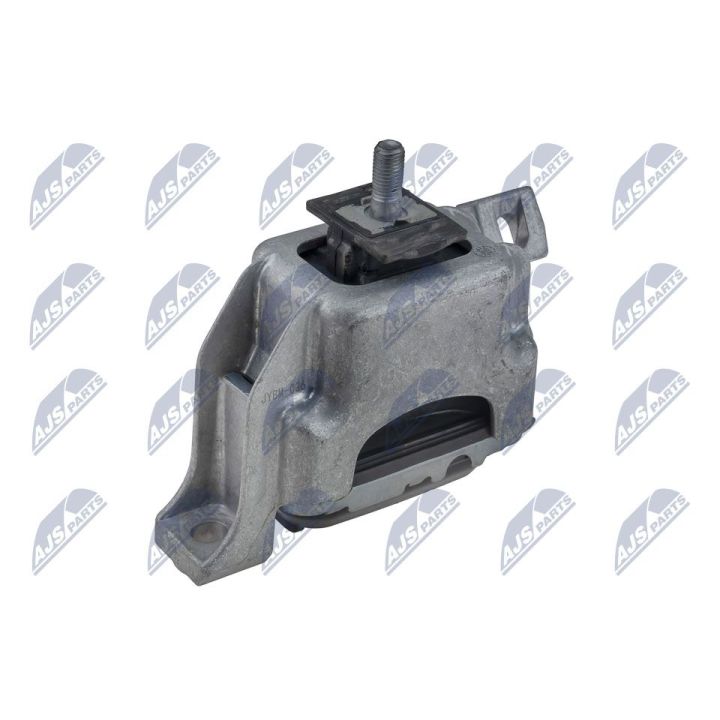 Variklio montavimas NTY ZPS-BM-036