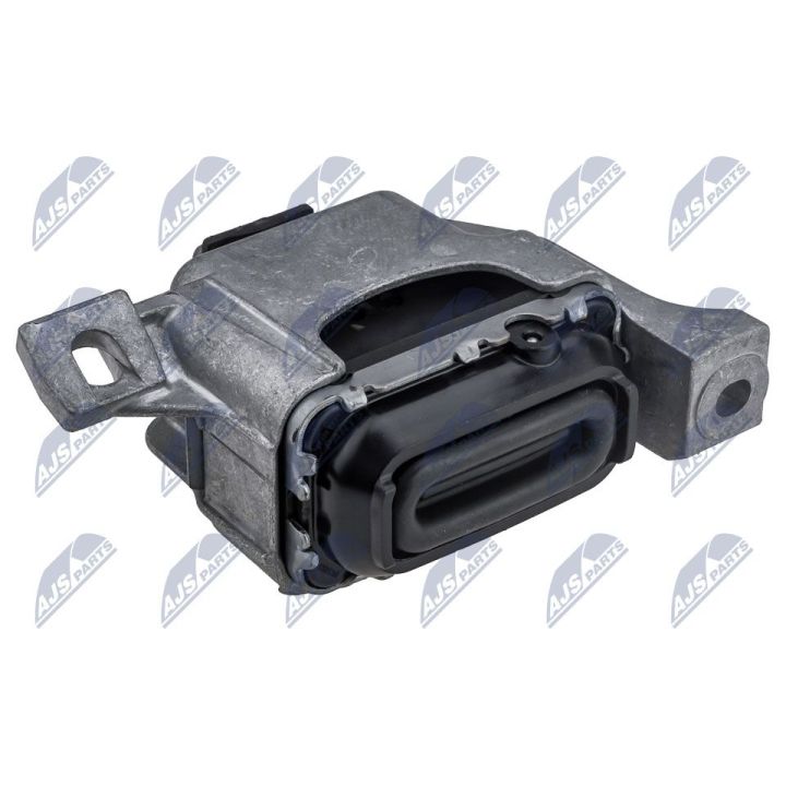 Variklio montavimas NTY ZPS-BM-036