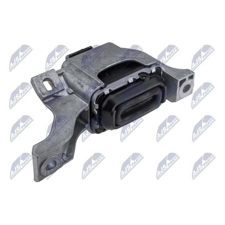 Variklio montavimas NTY ZPS-BM-037