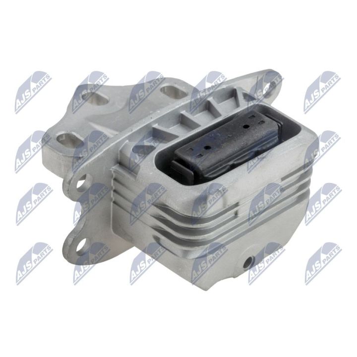 Variklio montavimas NTY ZPS-BM-044