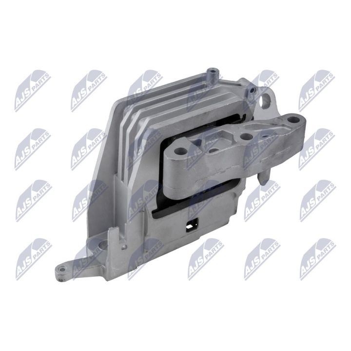 Variklio montavimas NTY ZPS-BM-046