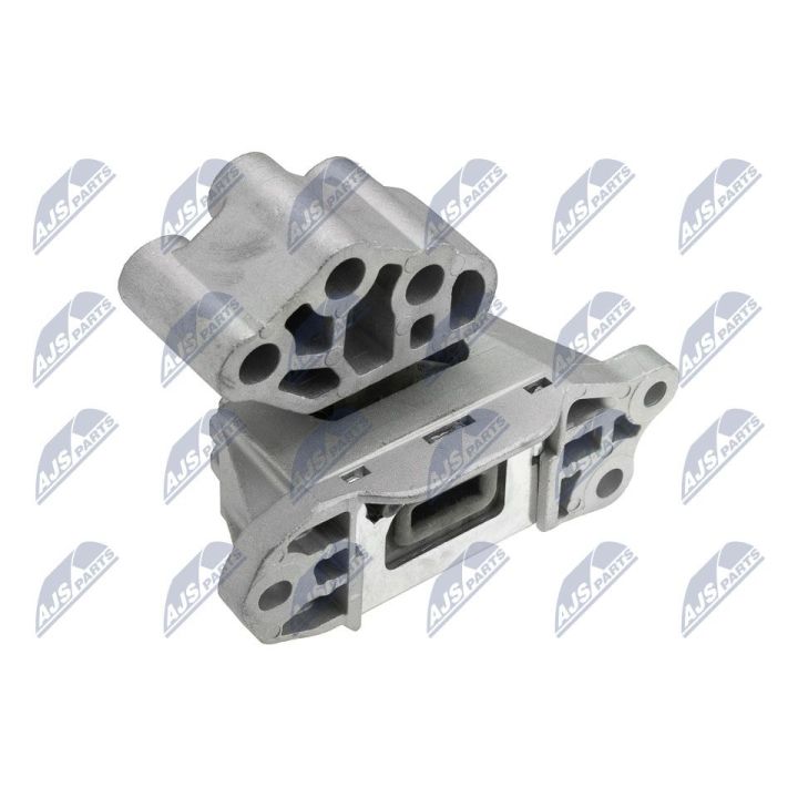 Variklio montavimas NTY ZPS-CH-133