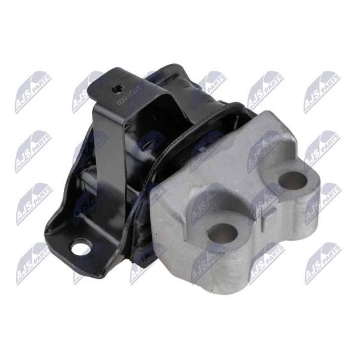 Variklio montavimas NTY ZPS-CT-002