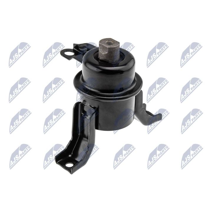 Variklio montavimas NTY ZPS-FR-057