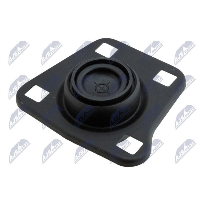 Variklio montavimas NTY ZPS-FR-062