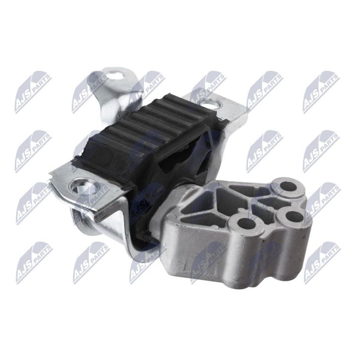 Variklio montavimas NTY ZPS-FT-007