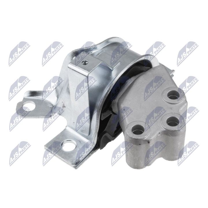 Variklio montavimas NTY ZPS-FT-007