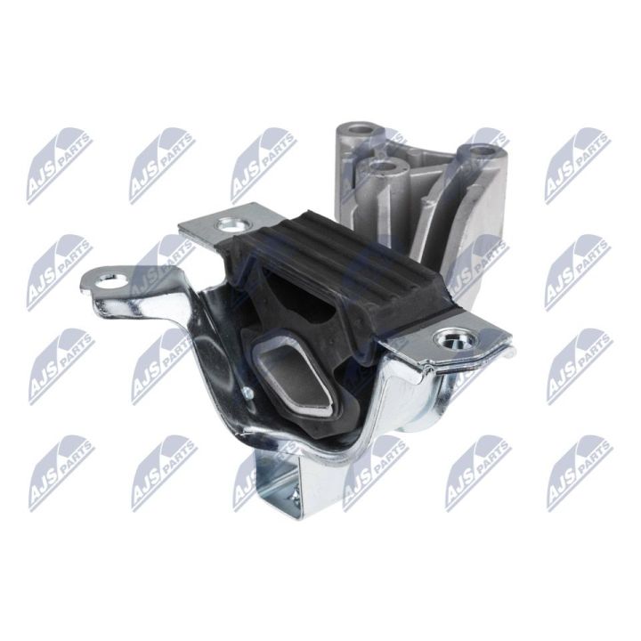 Variklio montavimas NTY ZPS-FT-012