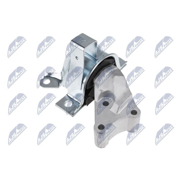 Variklio montavimas NTY ZPS-FT-012