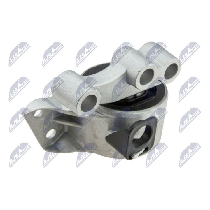 Variklio montavimas NTY ZPS-FT-019