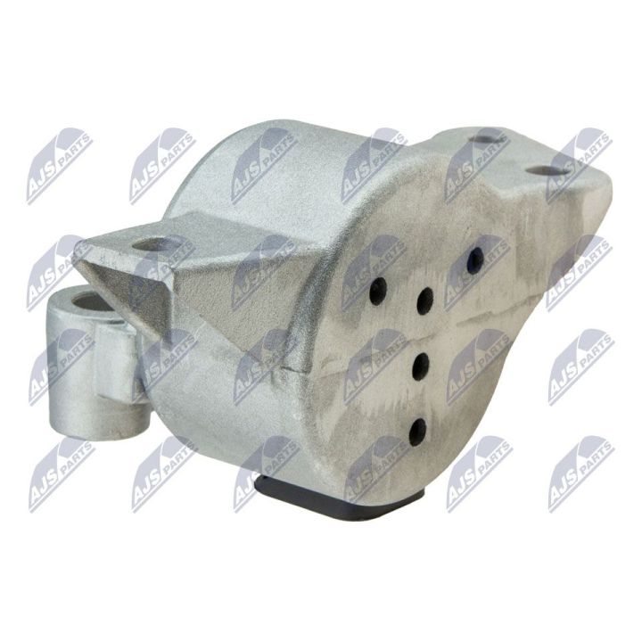 Variklio montavimas NTY ZPS-FT-019