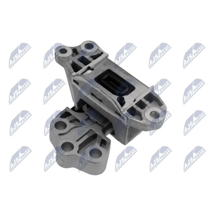 Variklio montavimas NTY ZPS-FT-026