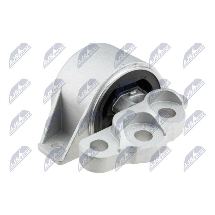 Variklio montavimas NTY ZPS-FT-032