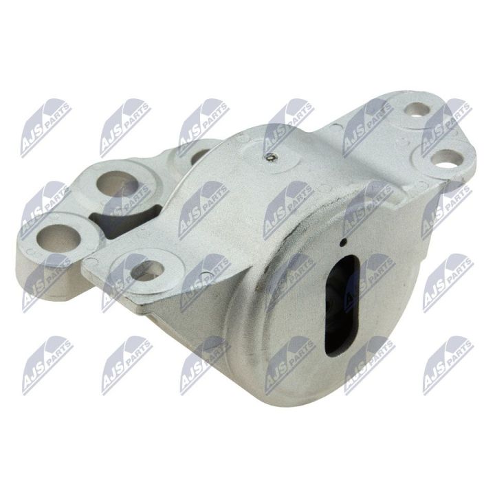 Variklio montavimas NTY ZPS-FT-032