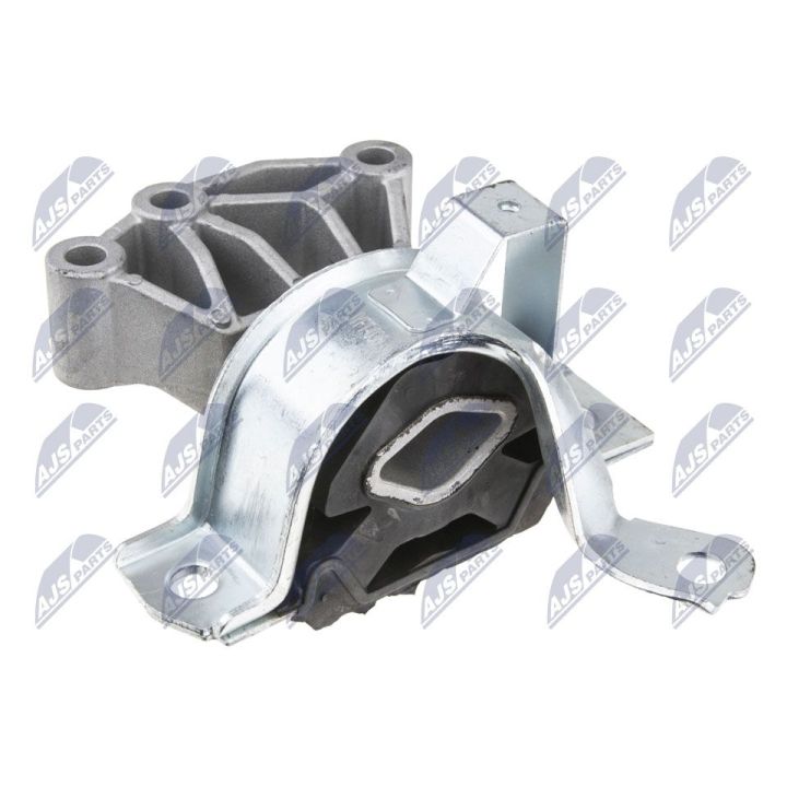 Variklio montavimas NTY ZPS-FT-036