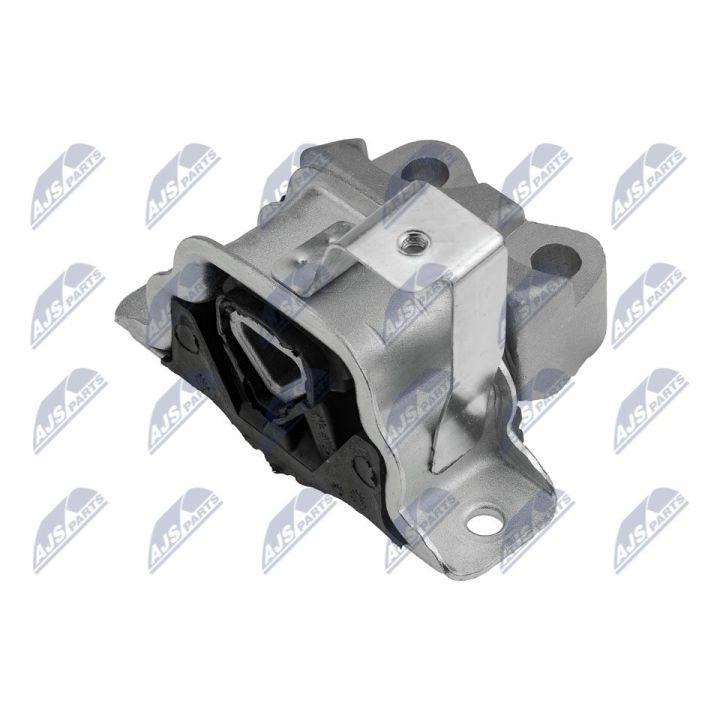 Variklio montavimas NTY ZPS-FT-038