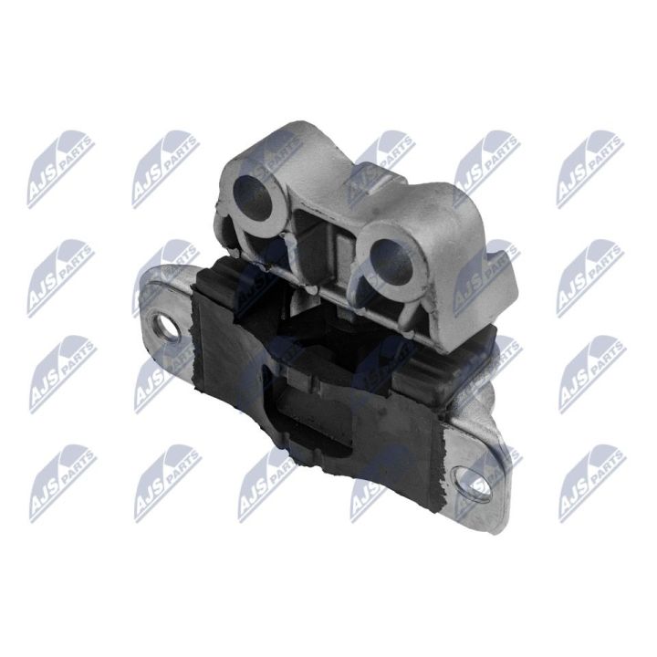 Variklio montavimas NTY ZPS-FT-038