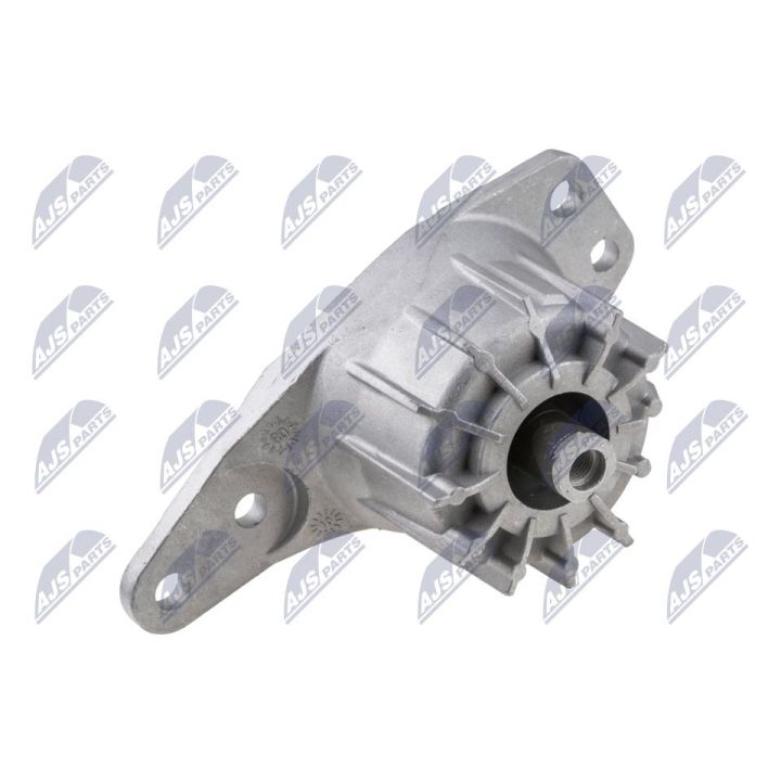 Variklio montavimas NTY ZPS-FT-039