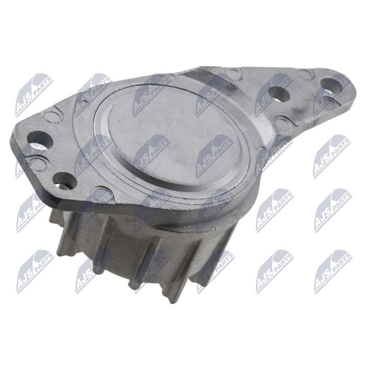 Variklio montavimas NTY ZPS-FT-039