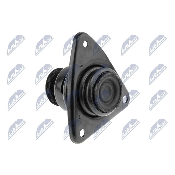 Variklio montavimas NTY ZPS-KA-306