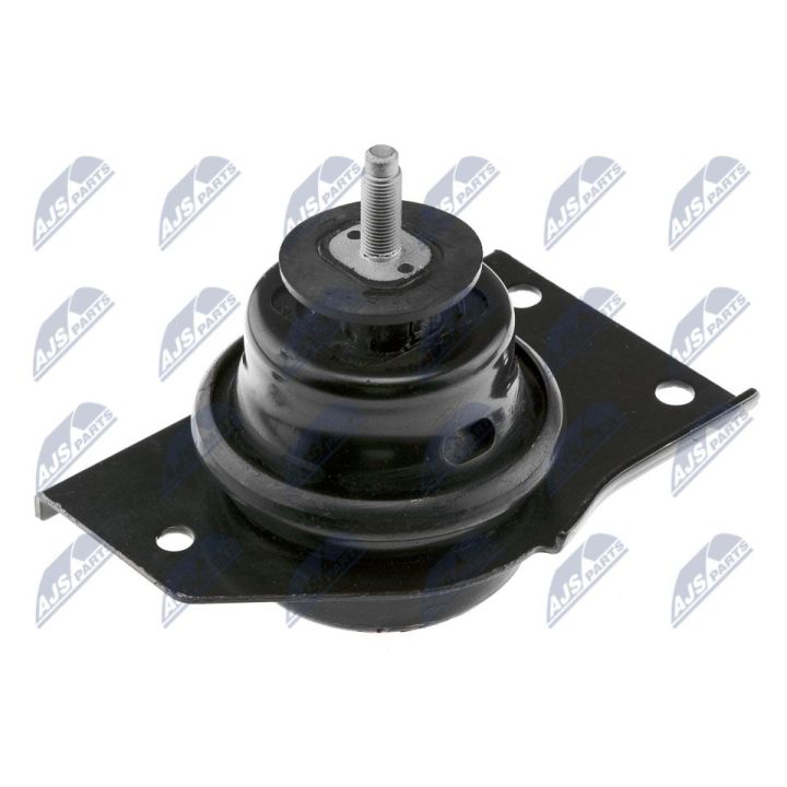 Variklio montavimas NTY ZPS-KA-316