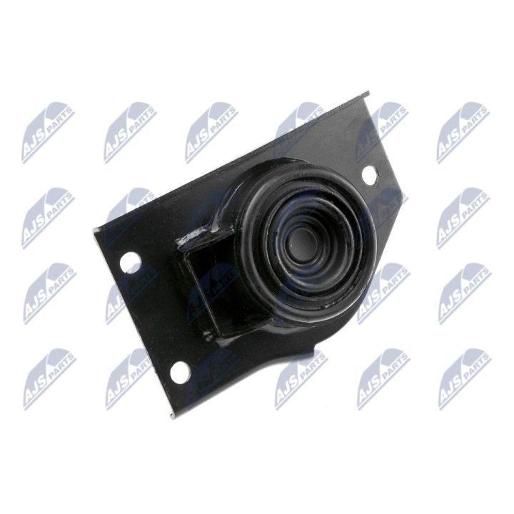 Variklio montavimas NTY ZPS-KA-316