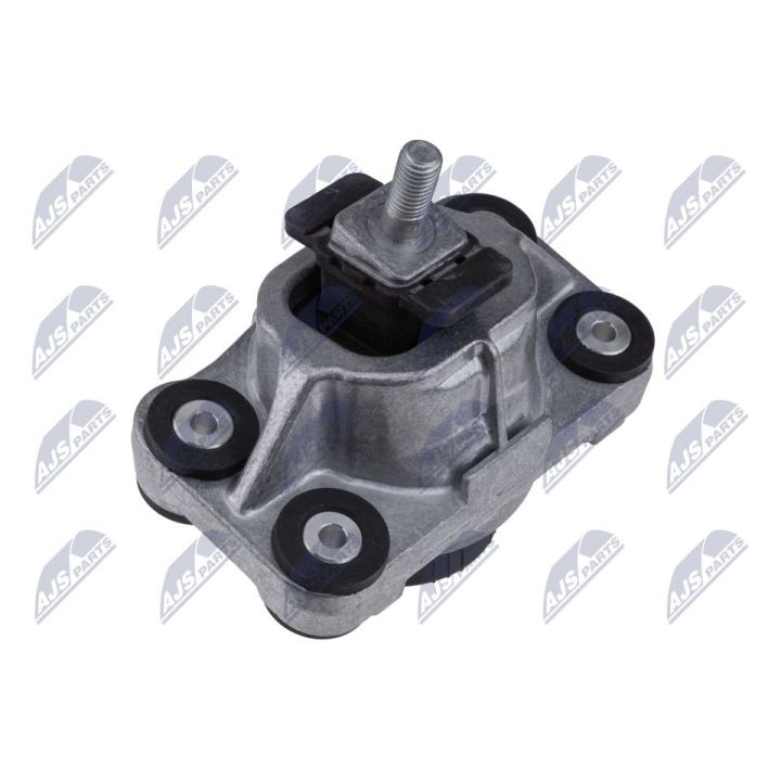 Variklio montavimas NTY ZPS-LR-006