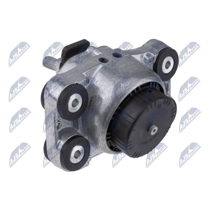 Variklio montavimas NTY ZPS-LR-006