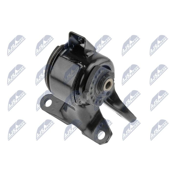 Variklio montavimas NTY ZPS-MZ-001