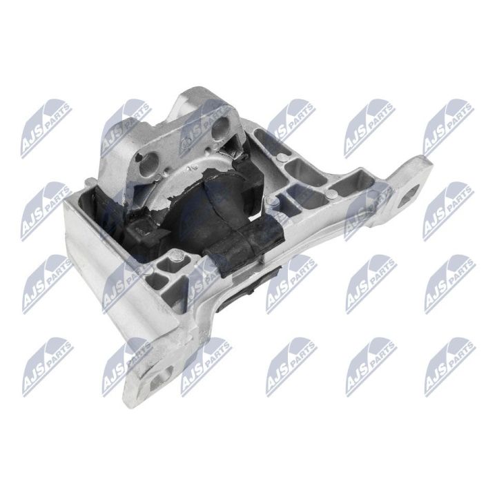 Variklio montavimas NTY ZPS-MZ-004