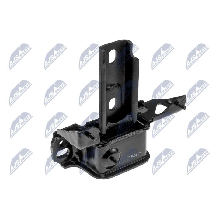 Variklio montavimas NTY ZPS-MZ-007