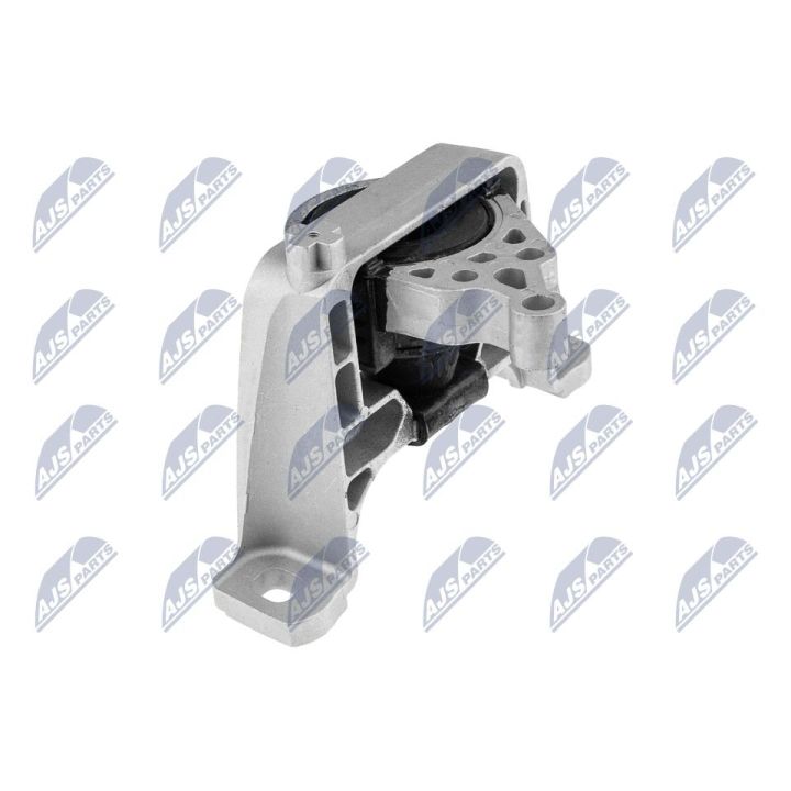 Variklio montavimas NTY ZPS-MZ-012