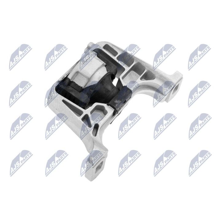 Variklio montavimas NTY ZPS-MZ-012